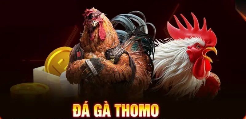 Đá Gà Thomo loại hình 